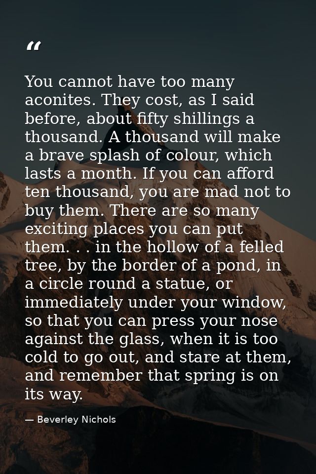 You cannot have too many aconites. They cost, as I said before, about fifty shillings a thousand. A thousand will make a — Beverley Nichols