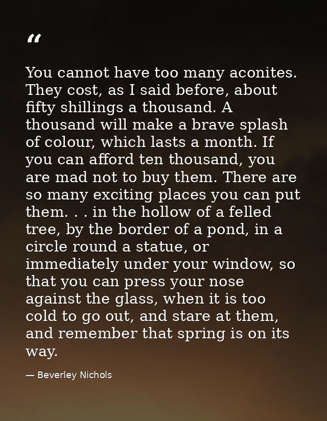 You cannot have too many aconites. They cost, as I said before, about fifty shillings a thousand. A thousand will make a — Beverley Nichols