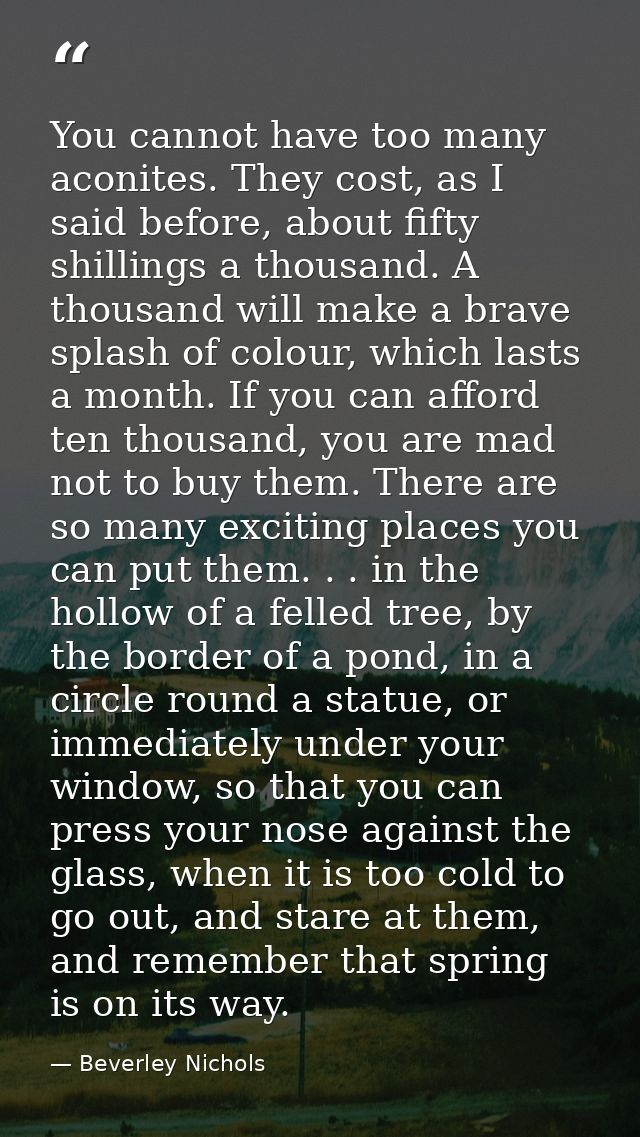 You cannot have too many aconites. They cost, as I said before, about fifty shillings a thousand. A thousand will make a — Beverley Nichols