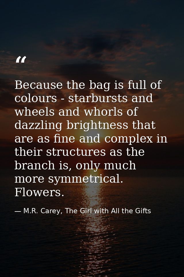 Because the bag is full of colours - starbursts and wheels and whorls of dazzling brightness that are as fine and comple — M.R. Carey, The Girl with All the Gifts