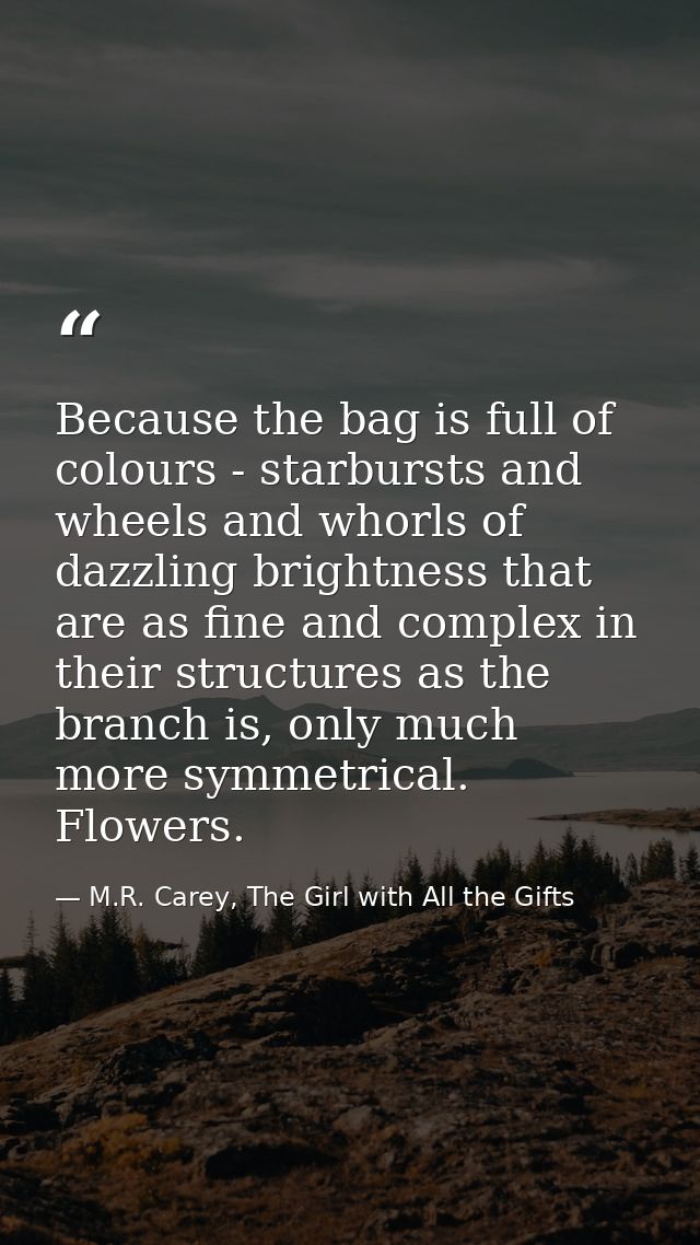 Because the bag is full of colours - starbursts and wheels and whorls of dazzling brightness that are as fine and comple — M.R. Carey, The Girl with All the Gifts