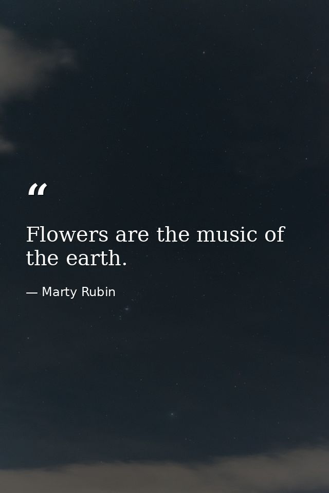 Flowers are the music of the earth. — Marty Rubin