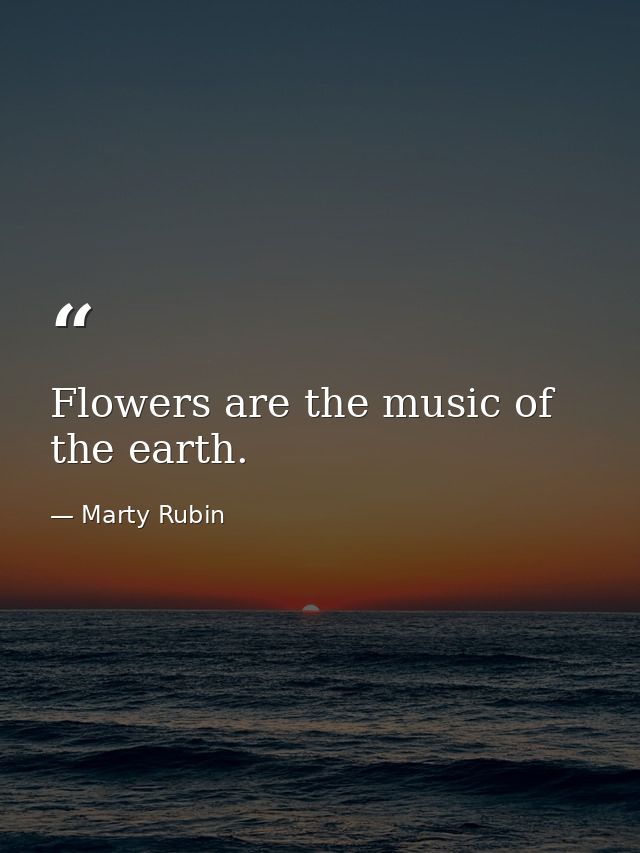 Flowers are the music of the earth. — Marty Rubin