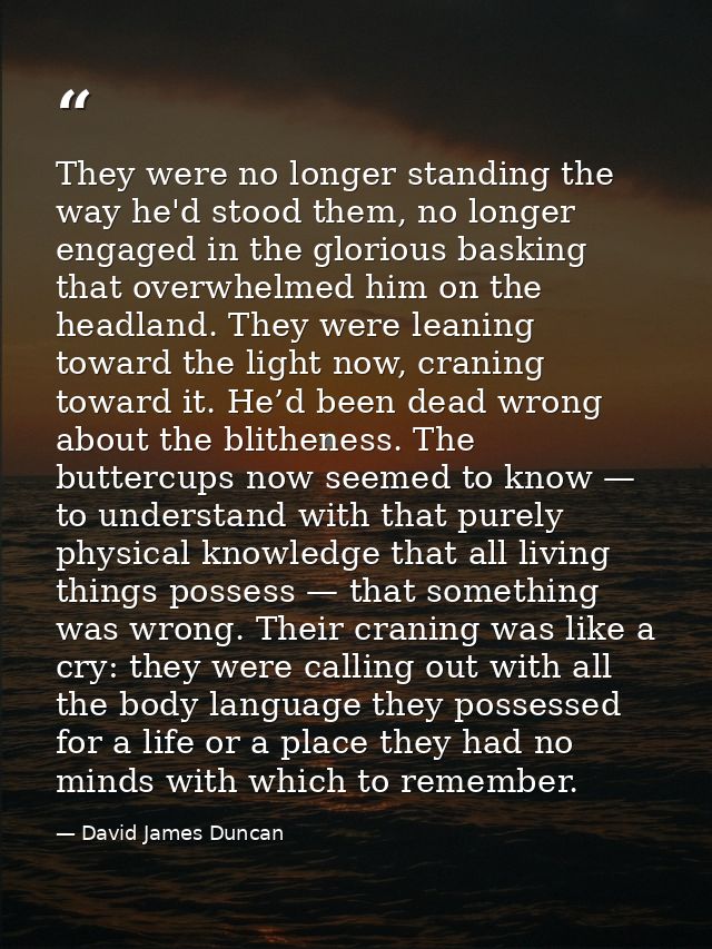They were no longer standing the way he'd stood them, no longer engaged in the glorious basking that overwhelmed him on  — David James Duncan