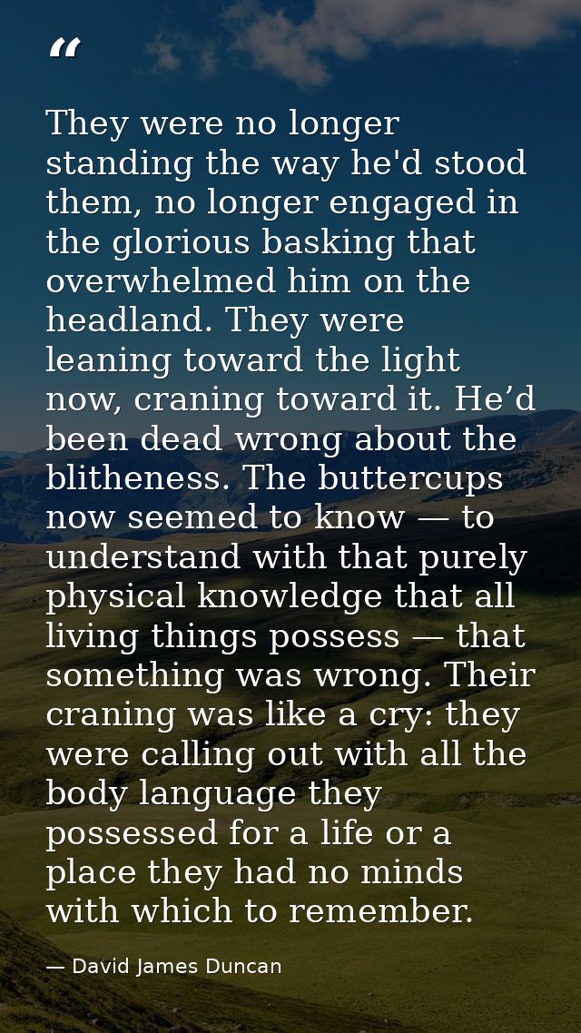 They were no longer standing the way he'd stood them, no longer engaged in the glorious basking that overwhelmed him on  — David James Duncan