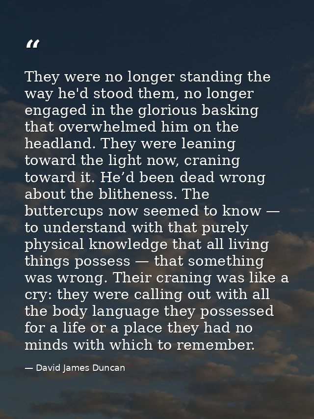 They were no longer standing the way he'd stood them, no longer engaged in the glorious basking that overwhelmed him on  — David James Duncan