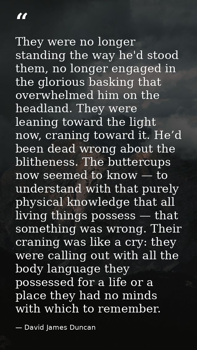 They were no longer standing the way he'd stood them, no longer engaged in the glorious basking that overwhelmed him on  — David James Duncan