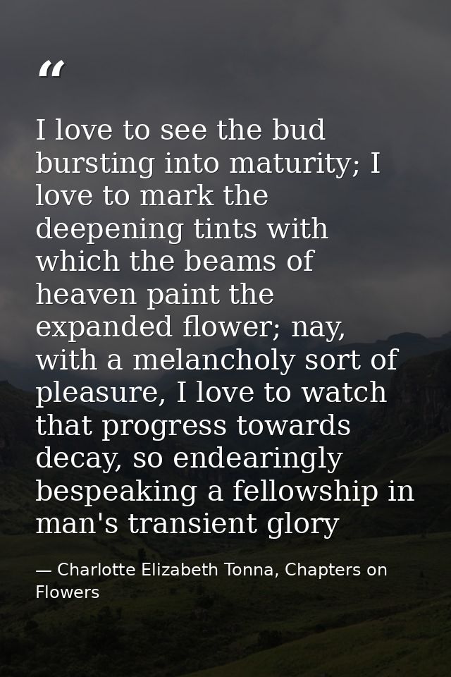 I love to see the bud bursting into maturity; I love to mark the deepening tints with which the beams of heaven paint th — Charlotte Elizabeth Tonna, Chapters on Flowers