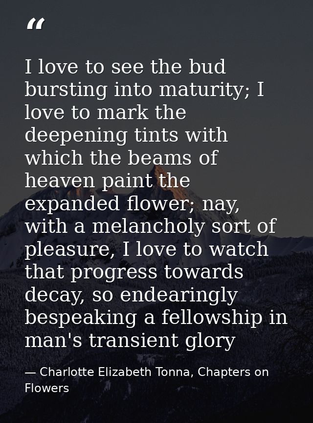 I love to see the bud bursting into maturity; I love to mark the deepening tints with which the beams of heaven paint th — Charlotte Elizabeth Tonna, Chapters on Flowers