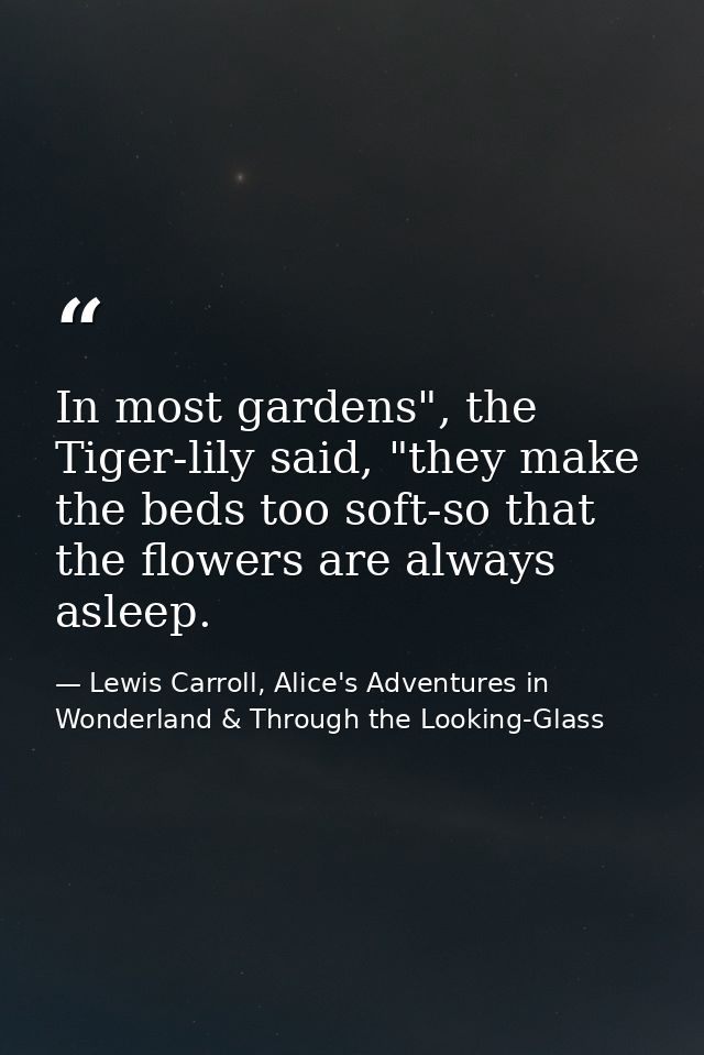 In most gardens", the Tiger-lily said, "they make the beds too soft-so that the flowers are always asleep. — Lewis Carroll, Alice's Adventures in Wonderland & Through the Looking-Glass
