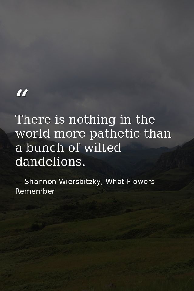 There is nothing in the world more pathetic than a bunch of wilted dandelions. — Shannon Wiersbitzky, What Flowers Remember