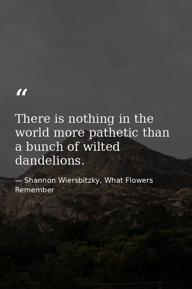 There is nothing in the world more pathetic than a bunch of wilted dandelions. — Shannon Wiersbitzky, What Flowers Remember