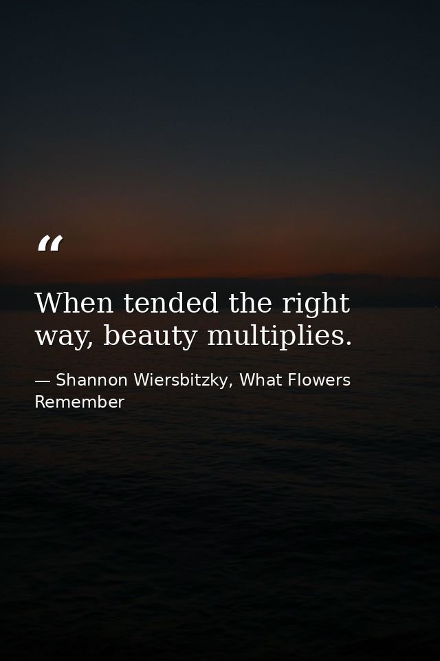 When tended the right way, beauty multiplies. — Shannon Wiersbitzky, What Flowers Remember