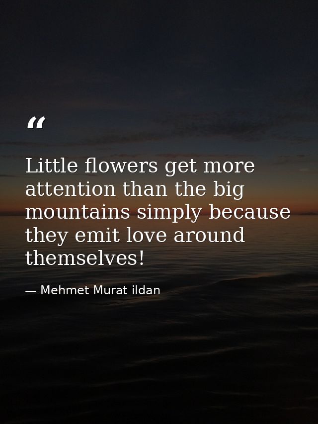 Little flowers get more attention than the big mountains simply because they emit love around themselves! — Mehmet Murat ildan