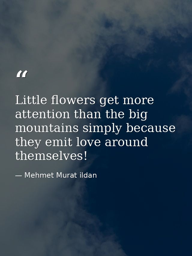 Little flowers get more attention than the big mountains simply because they emit love around themselves! — Mehmet Murat ildan