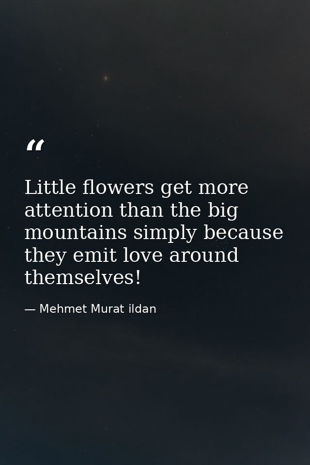 Little flowers get more attention than the big mountains simply because they emit love around themselves! — Mehmet Murat ildan