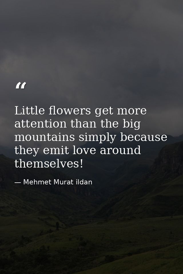 Little flowers get more attention than the big mountains simply because they emit love around themselves! — Mehmet Murat ildan