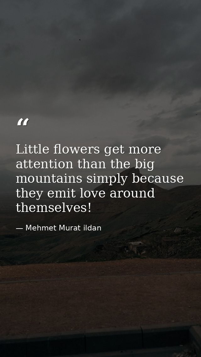 Little flowers get more attention than the big mountains simply because they emit love around themselves! — Mehmet Murat ildan