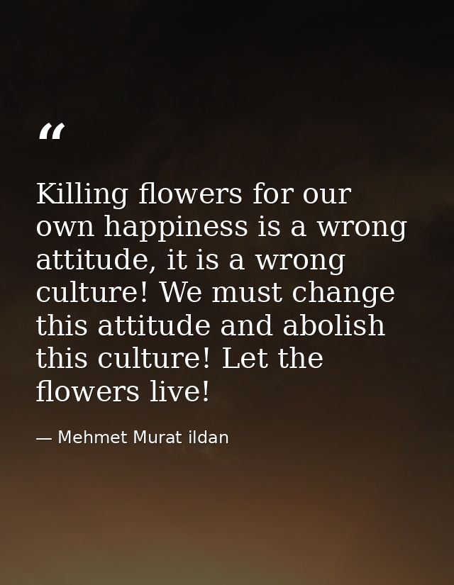 Killing flowers for our own happiness is a wrong attitude, it is a wrong culture! We must change this attitude and aboli — Mehmet Murat ildan