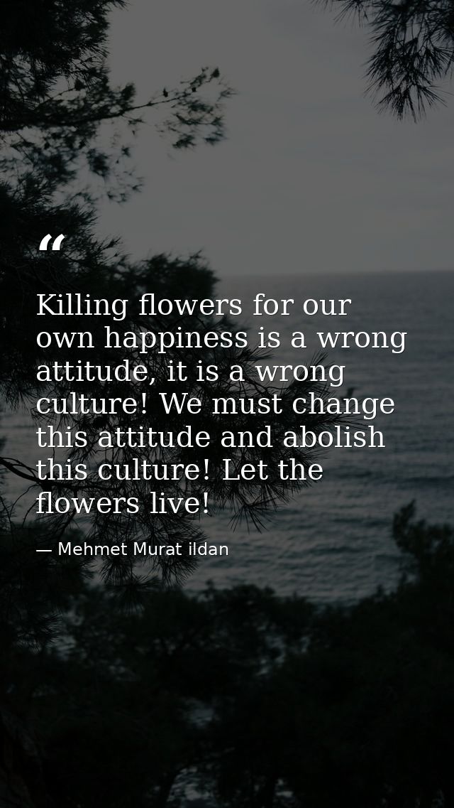 Killing flowers for our own happiness is a wrong attitude, it is a wrong culture! We must change this attitude and aboli — Mehmet Murat ildan