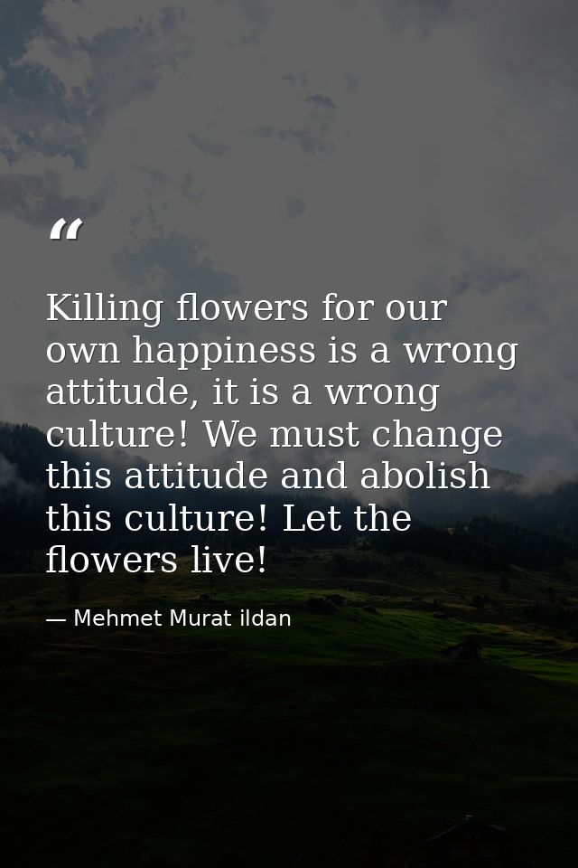 Killing flowers for our own happiness is a wrong attitude, it is a wrong culture! We must change this attitude and aboli — Mehmet Murat ildan