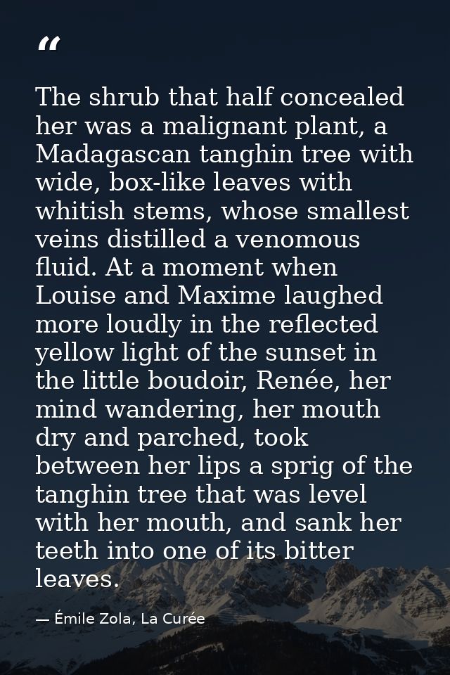 The shrub that half concealed her was a malignant plant, a Madagascan tanghin tree with wide, box-like leaves with whiti — Émile Zola, La Curée