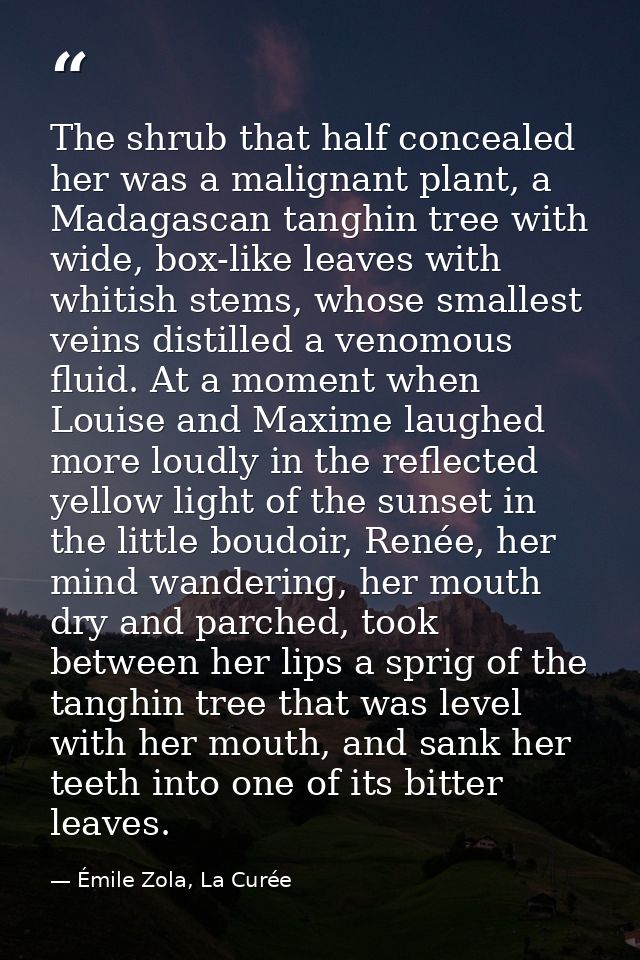 The shrub that half concealed her was a malignant plant, a Madagascan tanghin tree with wide, box-like leaves with whiti — Émile Zola, La Curée