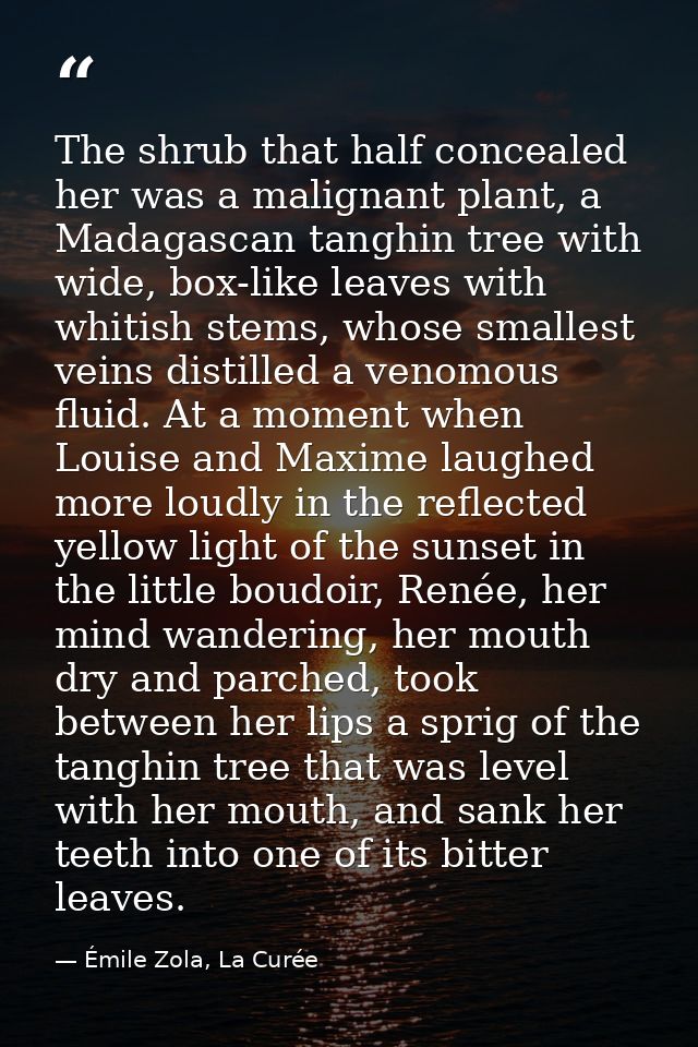 The shrub that half concealed her was a malignant plant, a Madagascan tanghin tree with wide, box-like leaves with whiti — Émile Zola, La Curée