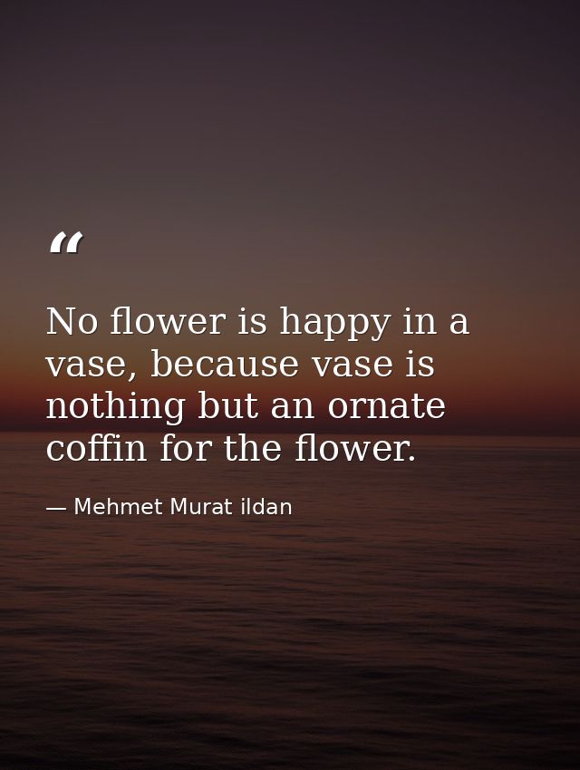 No flower is happy in a vase, because vase is nothing but an ornate coffin for the flower. — Mehmet Murat ildan