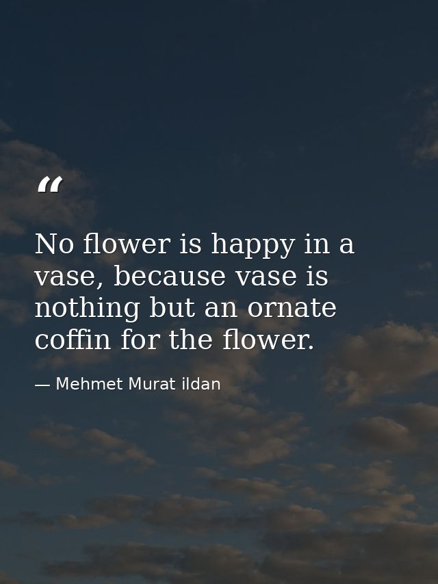 No flower is happy in a vase, because vase is nothing but an ornate coffin for the flower. — Mehmet Murat ildan
