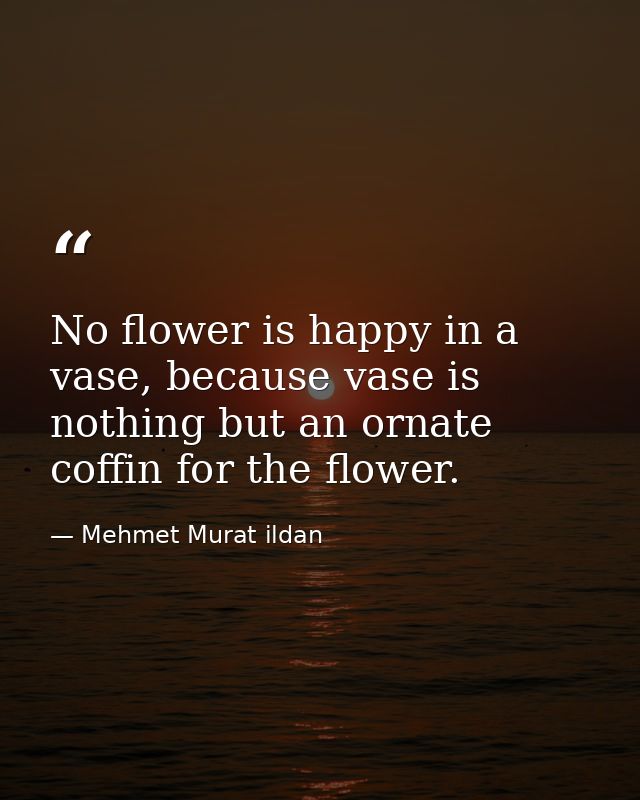 No flower is happy in a vase, because vase is nothing but an ornate coffin for the flower. — Mehmet Murat ildan