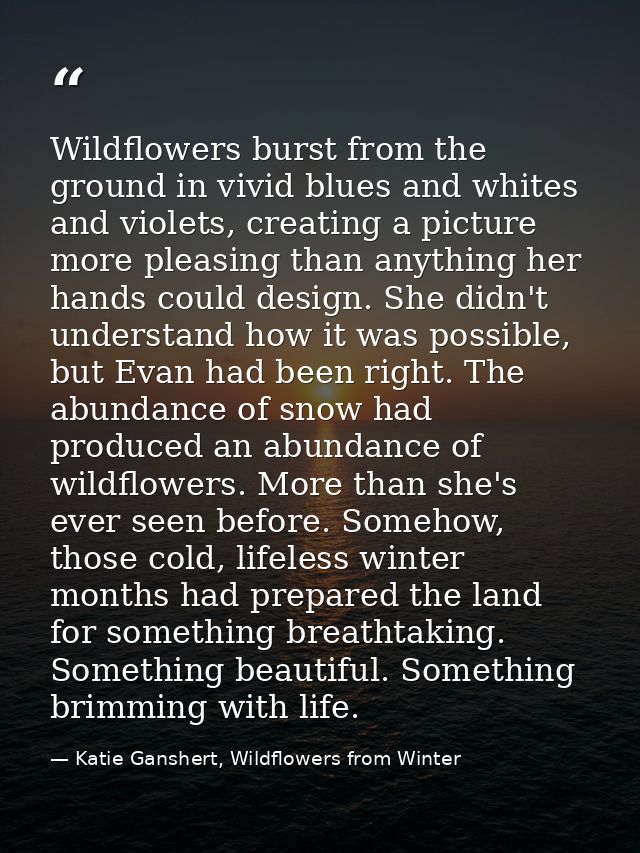 Wildflowers burst from the ground in vivid blues and whites and violets, creating a picture more pleasing than anything  — Katie Ganshert, Wildflowers from Winter