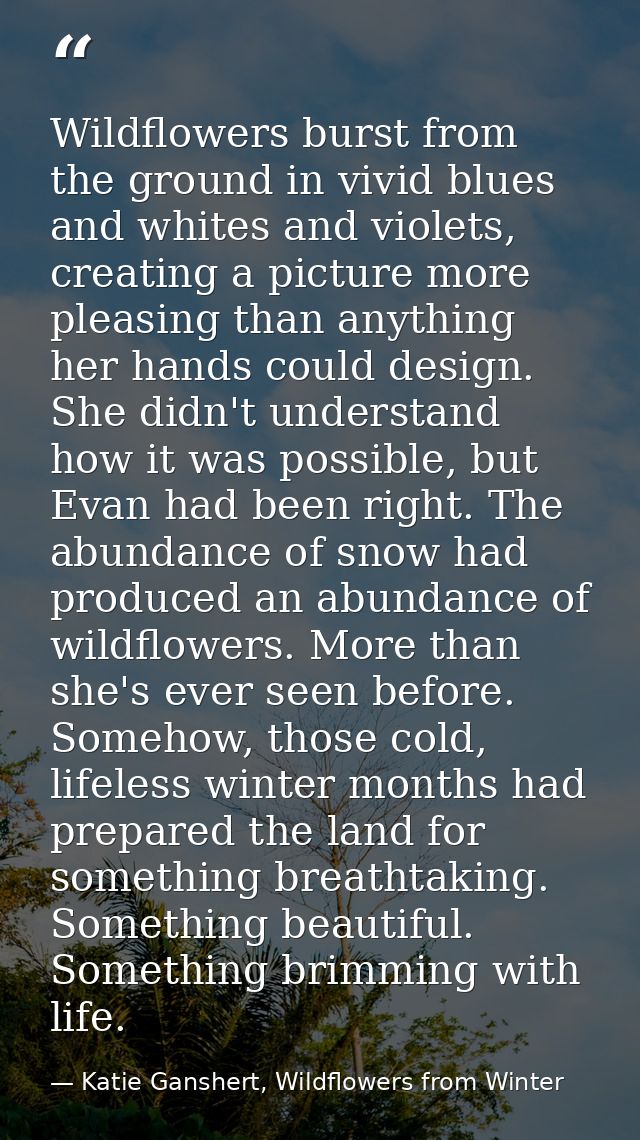 Wildflowers burst from the ground in vivid blues and whites and violets, creating a picture more pleasing than anything  — Katie Ganshert, Wildflowers from Winter