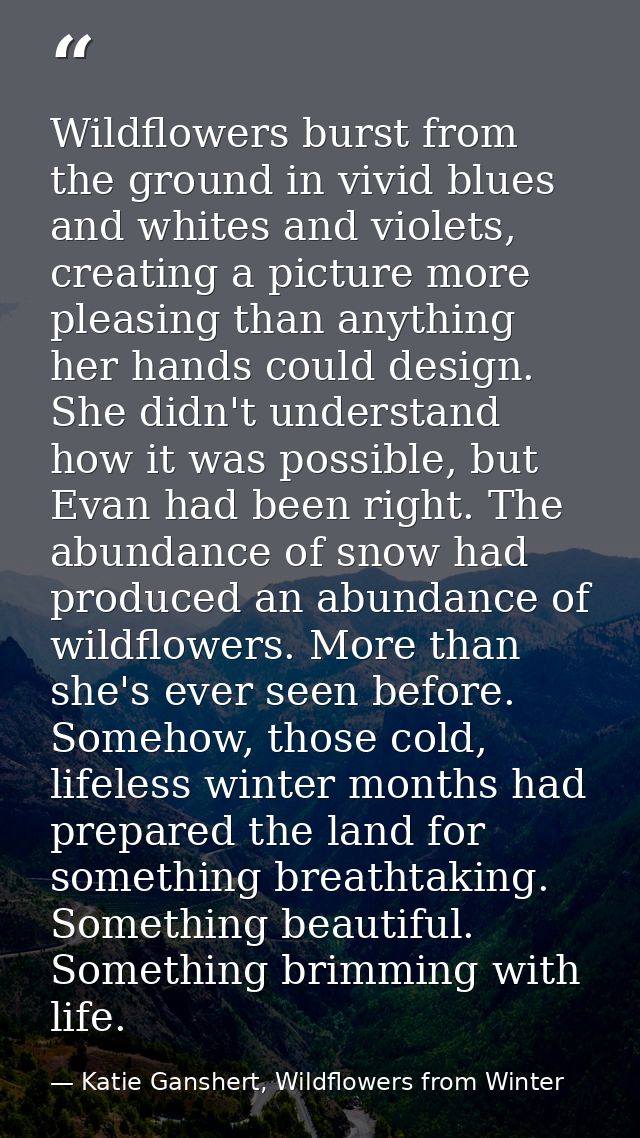 Wildflowers burst from the ground in vivid blues and whites and violets, creating a picture more pleasing than anything  — Katie Ganshert, Wildflowers from Winter