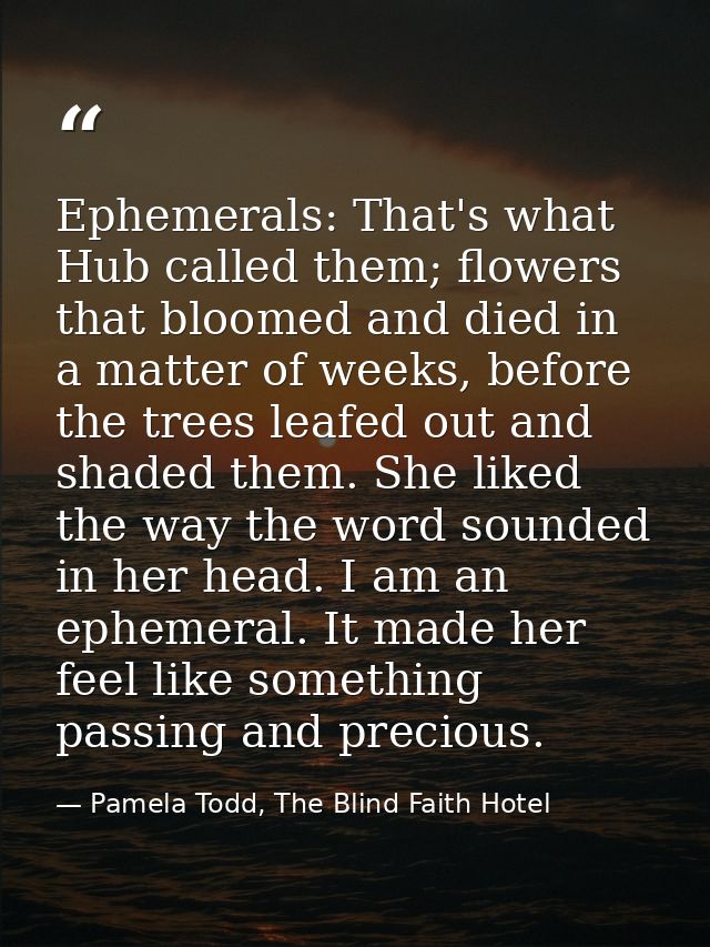 Ephemerals: That's what Hub called them; flowers that bloomed and died in a matter of weeks, before the trees leafed out — Pamela Todd, The Blind Faith Hotel