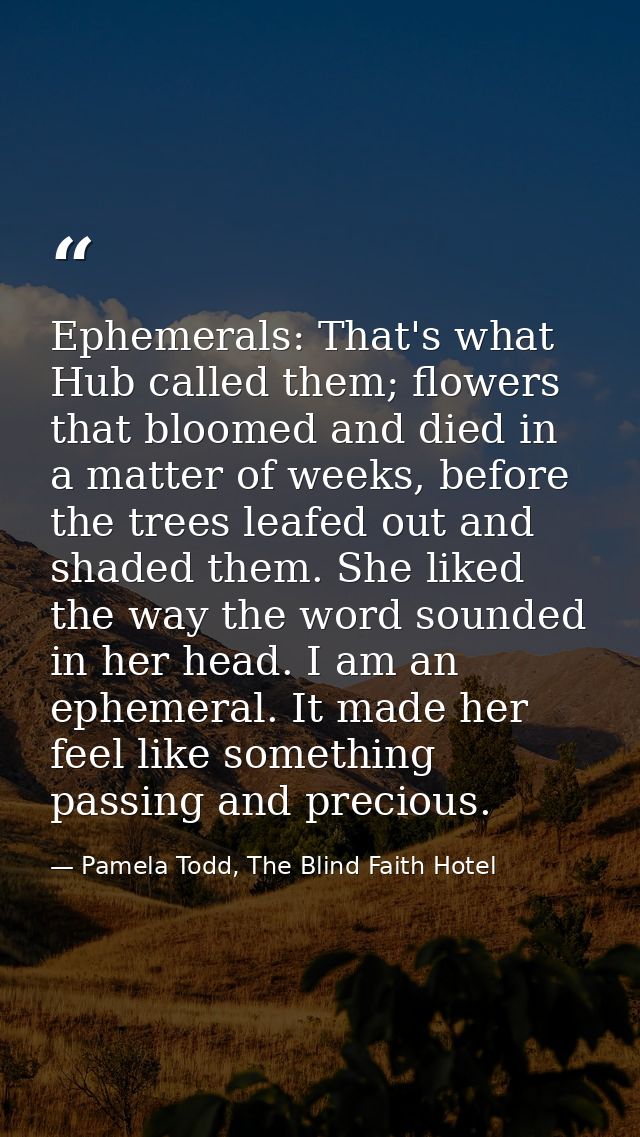 Ephemerals: That's what Hub called them; flowers that bloomed and died in a matter of weeks, before the trees leafed out — Pamela Todd, The Blind Faith Hotel