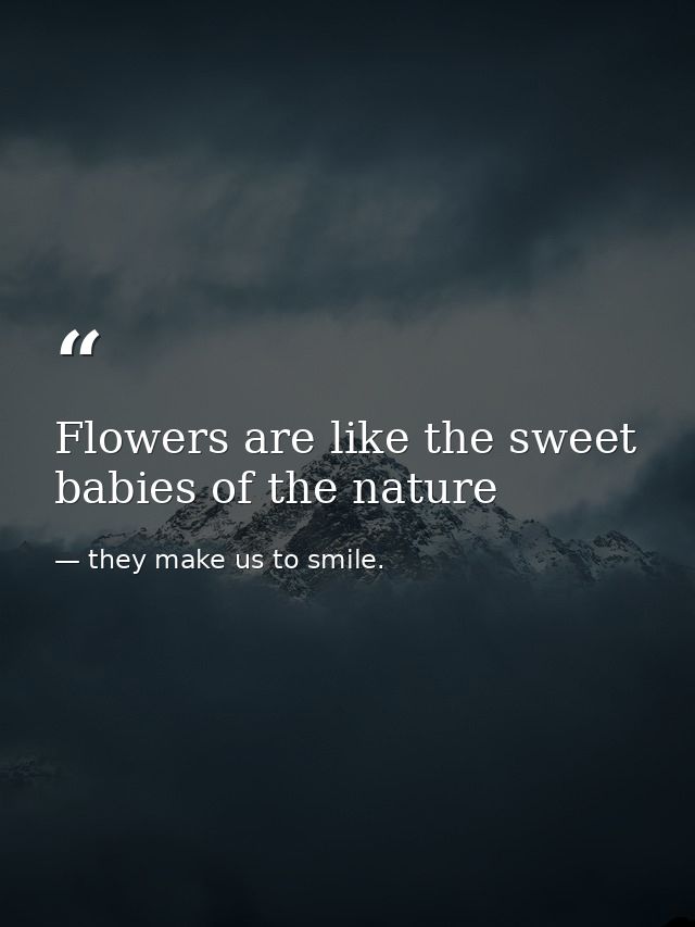Flowers are like the sweet babies of the nature — they make us to smile.