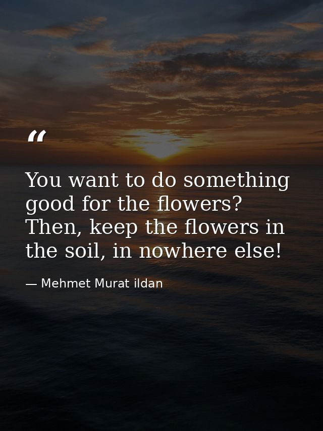 You want to do something good for the flowers? Then, keep the flowers in the soil, in nowhere else! — Mehmet Murat ildan