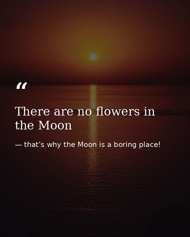 There are no flowers in the Moon — that’s why the Moon is a boring place!