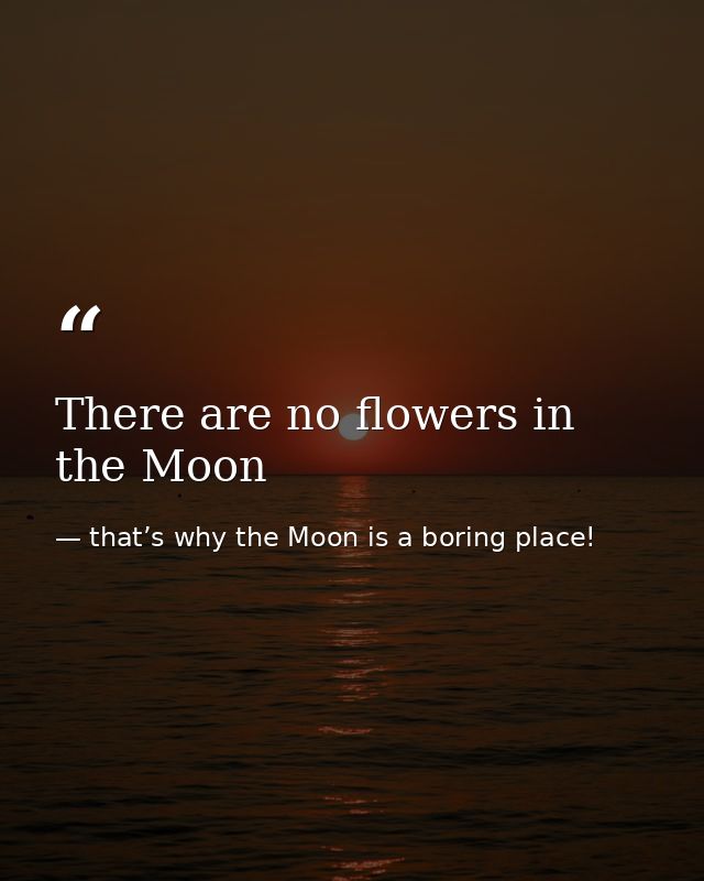 There are no flowers in the Moon — that’s why the Moon is a boring place!