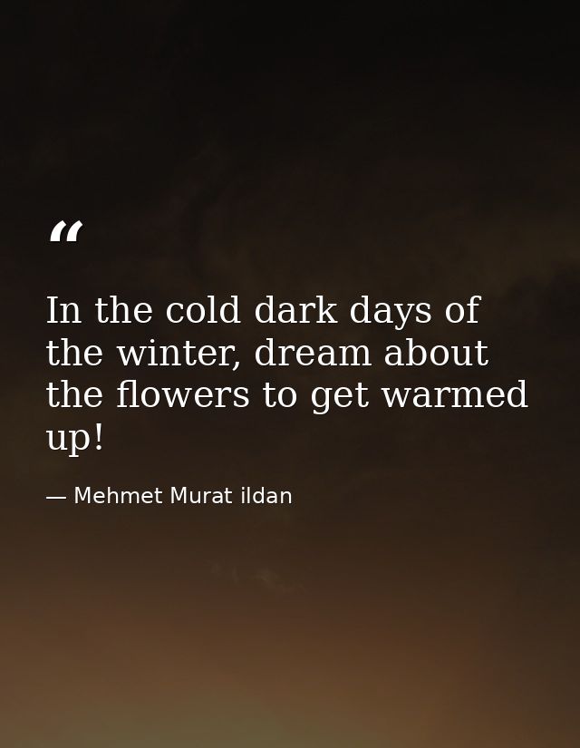 In the cold dark days of the winter, dream about the flowers to get warmed up! — Mehmet Murat ildan