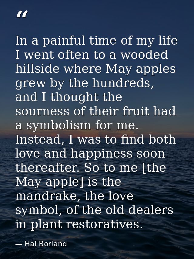 In a painful time of my life I went often to a wooded hillside where May apples grew by the hundreds, and I thought the  — Hal Borland