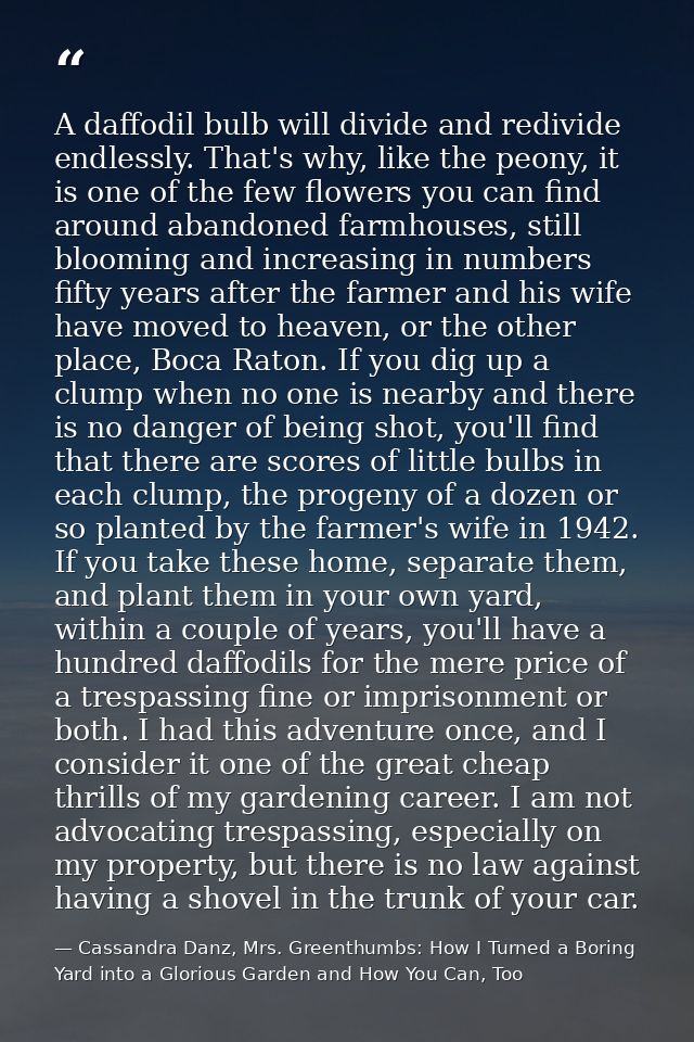 A daffodil bulb will divide and redivide endlessly. That's why, like the peony, it is one of the few flowers you can fin — Cassandra Danz, Mrs. Greenthumbs: How I Turned a Boring Yard into a Glorious Garden and How You Can, Too