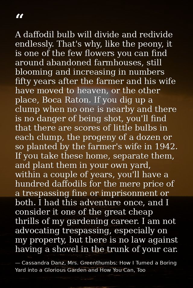 A daffodil bulb will divide and redivide endlessly. That's why, like the peony, it is one of the few flowers you can fin — Cassandra Danz, Mrs. Greenthumbs: How I Turned a Boring Yard into a Glorious Garden and How You Can, Too