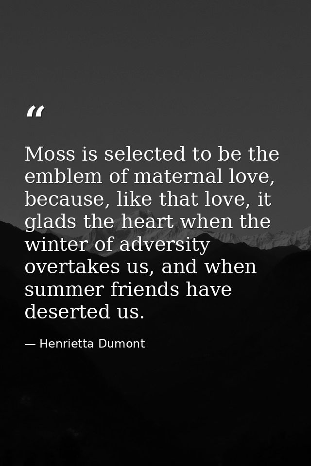 Moss is selected to be the emblem of maternal love, because, like that love, it glads the heart when the winter of adver — Henrietta Dumont