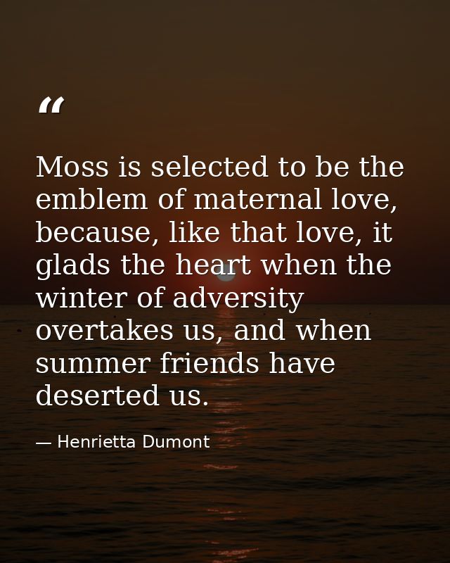 Moss is selected to be the emblem of maternal love, because, like that love, it glads the heart when the winter of adver — Henrietta Dumont