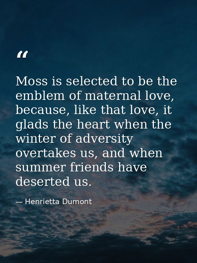 Moss is selected to be the emblem of maternal love, because, like that love, it glads the heart when the winter of adver — Henrietta Dumont