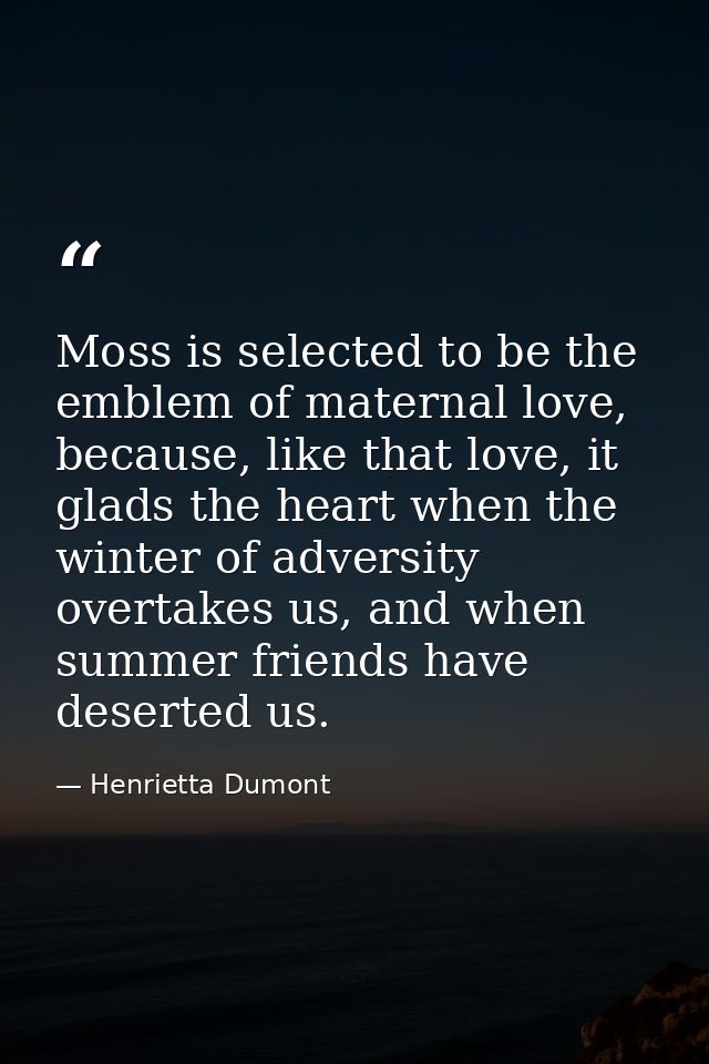 Moss is selected to be the emblem of maternal love, because, like that love, it glads the heart when the winter of adver — Henrietta Dumont