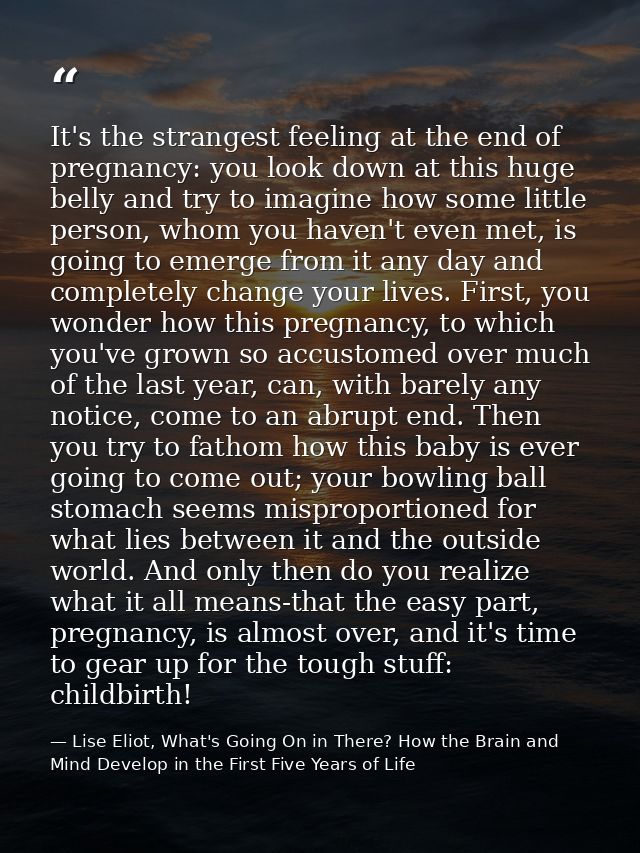 It's the strangest feeling at the end of pregnancy: you look down at this huge belly and try to imagine how some little  — Lise Eliot, What's Going On in There? How the Brain and Mind Develop in the First Five Years of Life