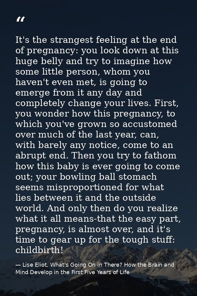 It's the strangest feeling at the end of pregnancy: you look down at this huge belly and try to imagine how some little  — Lise Eliot, What's Going On in There? How the Brain and Mind Develop in the First Five Years of Life